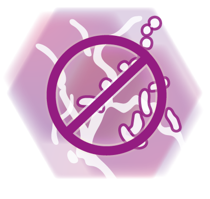 Icon bacteria