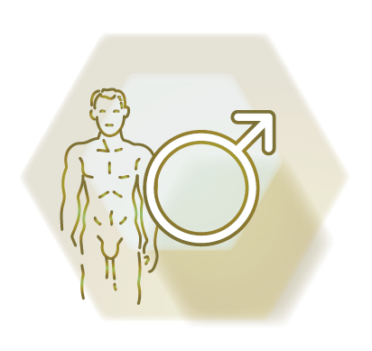 Icon Mann