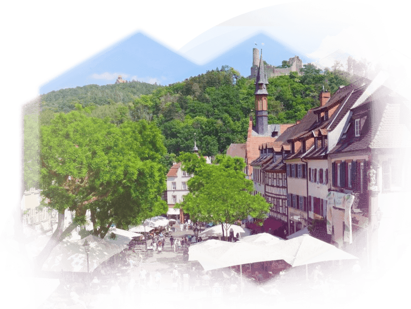 Blick auf die Altstadt von Weinheim